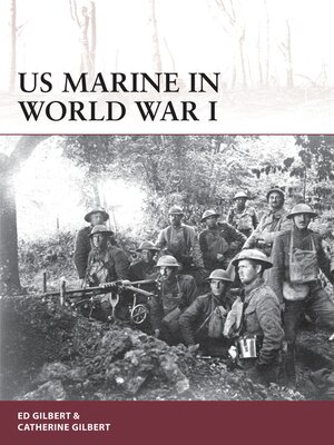 US Marine in World War I - ebook